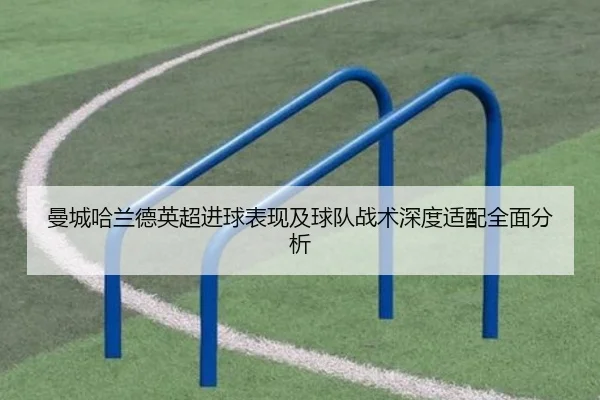 曼城哈兰德英超进球表现及球队战术深度适配全面分析 - OGGaming